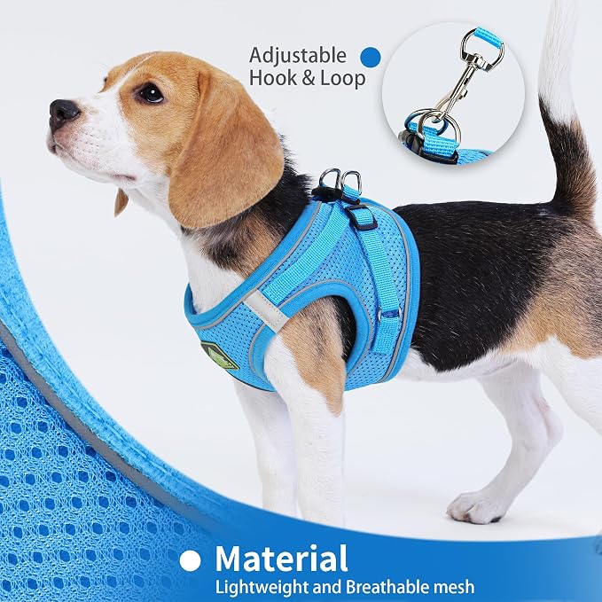 Step in Dog Harness with Leash Set, Adjustable Soft Padded and Breathable Mesh - Image 4
