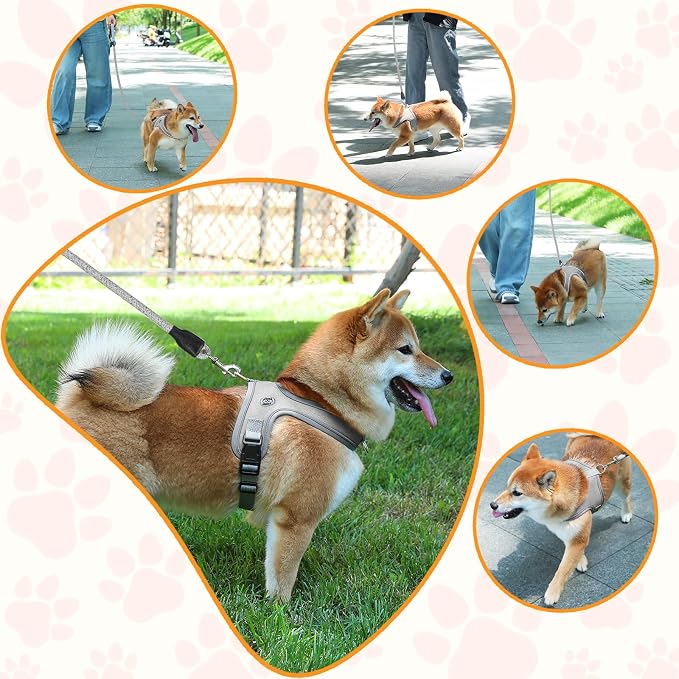 Dog Harness and Leash Set, No Pull Saddle Style Pet Harness, Breathable Mesh - Image 6
