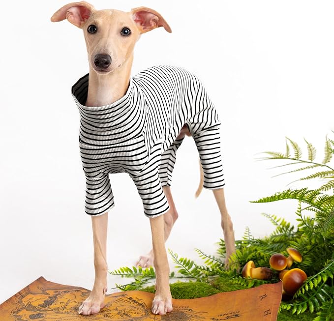 Dog Sweaters for Small Dogs Girls Boys, Striped Pet Sweaters for Fall Winter - Image 2