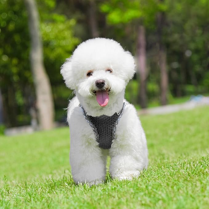 Step in Dog Harness and Leash Set, No Pull Escape Proof Vest Harness - Image 6