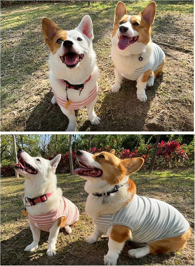 Koneseve Dog Shirt Vest Lightweight Stretchy Dog T-Shirts Soft Cool Shirts - Image 7