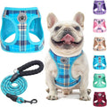 BEAUTYZOO Small Dog Harness and Leash Set, Step in No Choke No Pull Soft Mesh by BEAUTYZOO