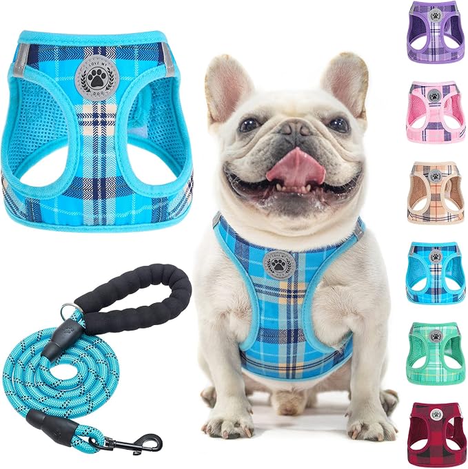 BEAUTYZOO Small Dog Harness and Leash Set, Step in No Choke No Pull Soft Mesh by BEAUTYZOO