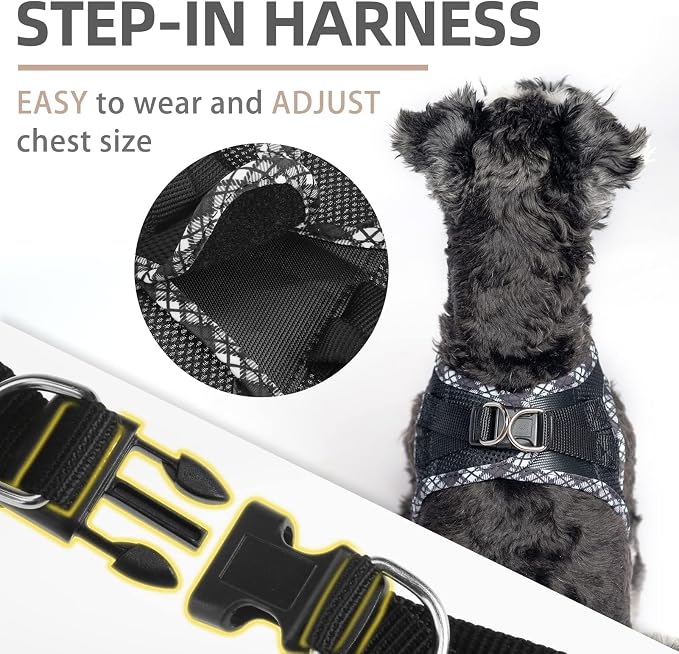 PUPTECK Dog Harness and Leash Set - Image 4