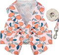 BAEJMJK Dog Harness and Leash Set by BAEJMJK