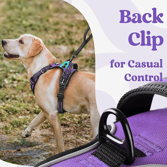 rabbitgoo Dog Harness for Large, No Pull Pet Harness - Image 5