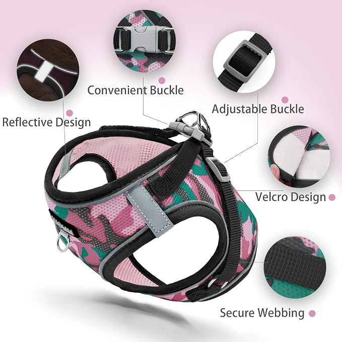 Step in Dog Harness with Leash Set, Adjustable Soft Padded and Breathable Mesh - Image 3