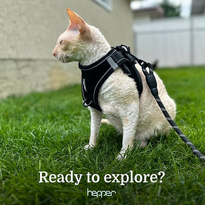 Hepper Cat Harness and Leash Set - Image 8