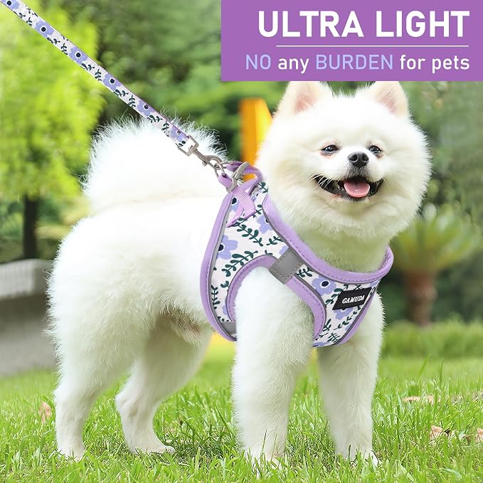 GAMUDA Small Dog Harness Collar and Leash Set, Step in No Chock No Pull Soft - Image 6