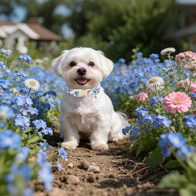 Lionet Paws Floral Dog Collar- Cute Spring Wildflowers Daisy Forget Me Not Dog - Image 4