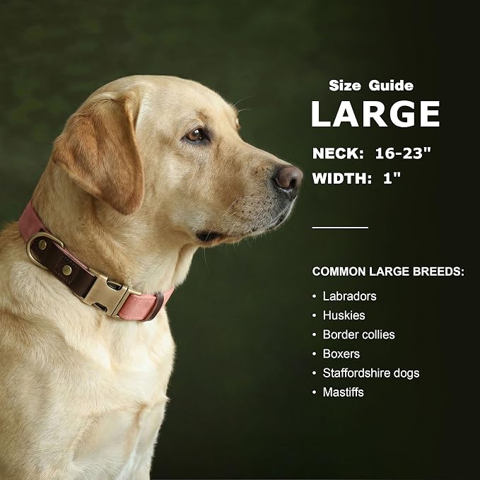 Didog Soft PU Leather Dog Collar - Image 3