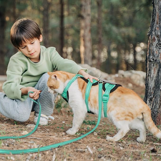Cat Harness for Walking, Escape Proof Cat Harness and Leash Set - Image 6