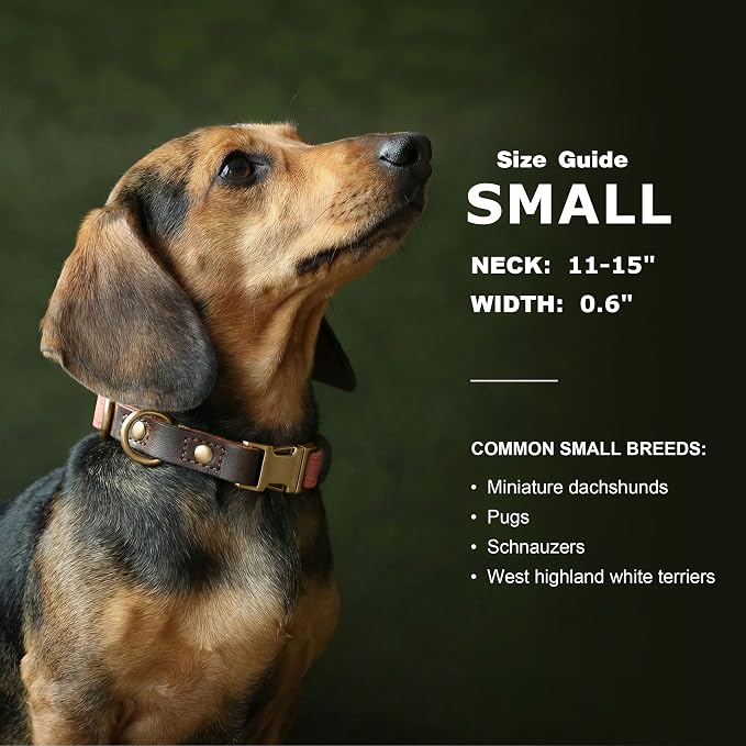 Didog Soft PU Leather Dog Collars - Image 3