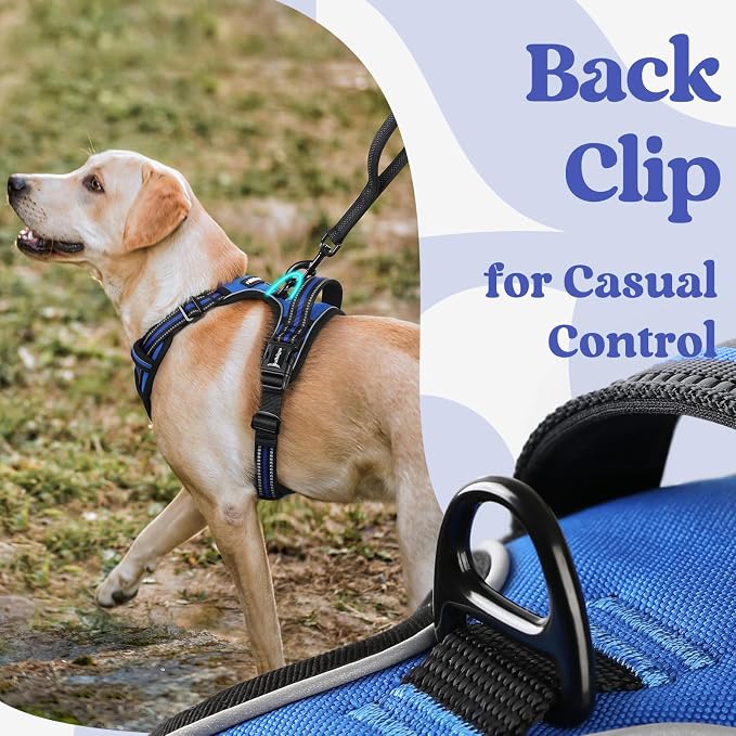 rabbitgoo Dog Harness Small Sized, No Pull Pet Harness - Image 6
