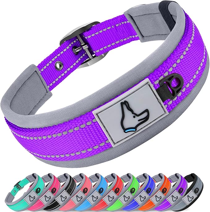 Joytale Dog Collar for Medium Dogs, Neoprene Padded and Adjustable, Reflective by Joytale