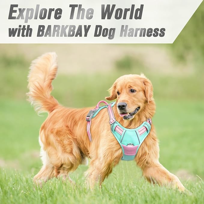 BARKBAY No Pull Dog Harness Front Clip Heavy Duty Reflective Easy Control Handle - Image 8