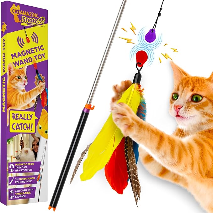 Cat Amazing Snatch by CatAmazing