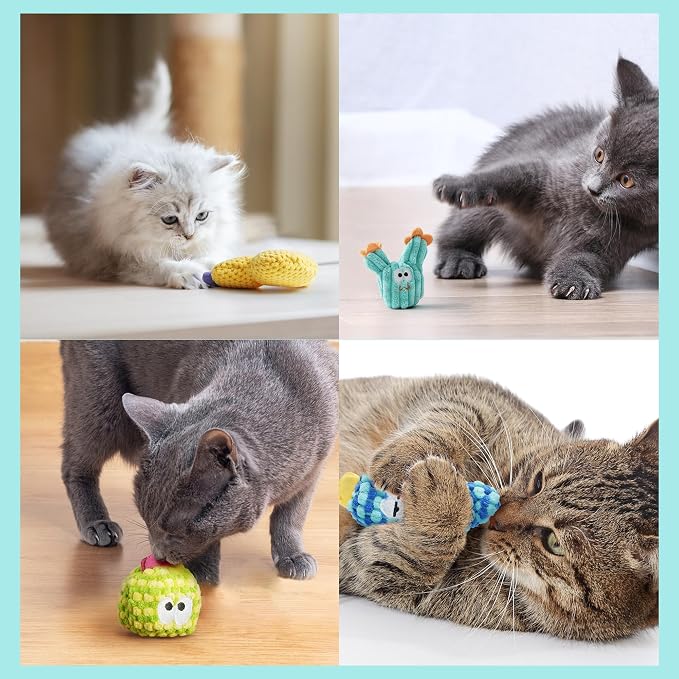 5 Pack Cactus Catnip Toys, 100% Organic Catnip Toys - Image 7