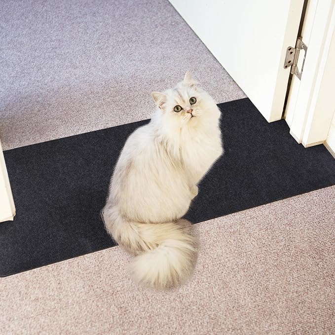 Carpet Protector for Pets Cat Carpet Protector for Doorway, Anti Scratch Under by Oroonoko
