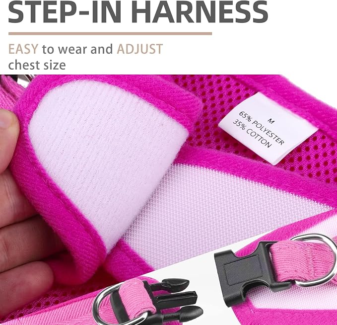 PUPTECK Dog Harness and Leash Set - Image 4