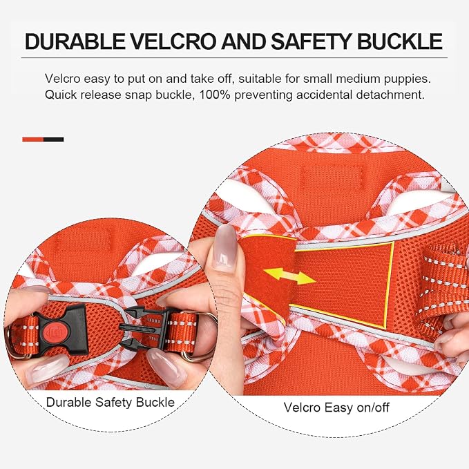 Mercano Soft Mesh Dog Harness and Leash Set, No-Chock Step-in Reflective - Image 4