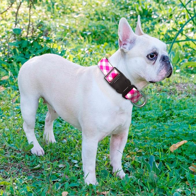 Reflective Dog Collar Padded - Image 5