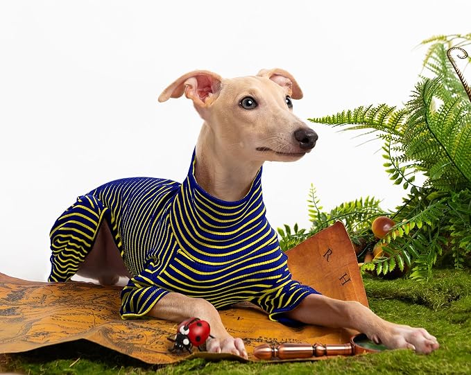 Dog Sweaters for Small Dogs Girls Boys, Striped Pet Sweaters for Fall Winter - Image 5
