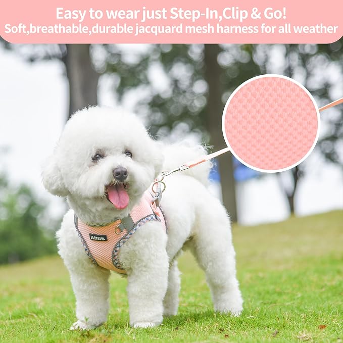 AIITLE XXS Dog Harness & Leash Set - Image 9