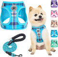 BEAUTYZOO Small Dog Harness and Leash Set, Step in No Choke No Pull Soft Mesh by BEAUTYZOO