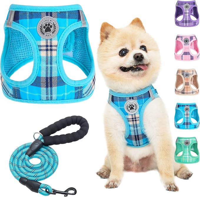BEAUTYZOO Small Dog Harness and Leash Set, Step in No Choke No Pull Soft Mesh by BEAUTYZOO