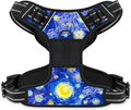 Rnivvi No Pull Dog Harness, Cute Reflective X-Large Sized Puppy Harness by Rnivvi