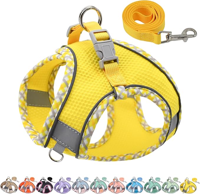 AIITLE XXS Dog Harness & Leash Set by AIITLE-FORPETSBETTERLIFE