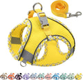 AIITLE XXS Dog Harness & Leash Set by AIITLE-FORPETSBETTERLIFE
