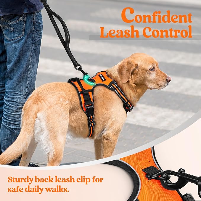 rabbitgoo Dog Harness No Pull - Image 6