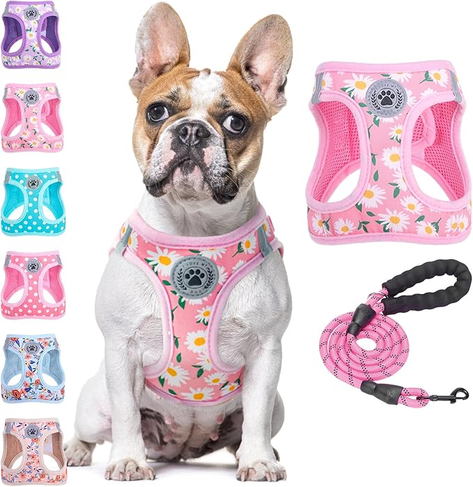 BEAUTYZOO Step in Dog Harness and Leash Set, Floral Pattern Reflective Dog by BEAUTYZOO