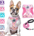 BEAUTYZOO Step in Dog Harness and Leash Set, Floral Pattern Reflective Dog by BEAUTYZOO