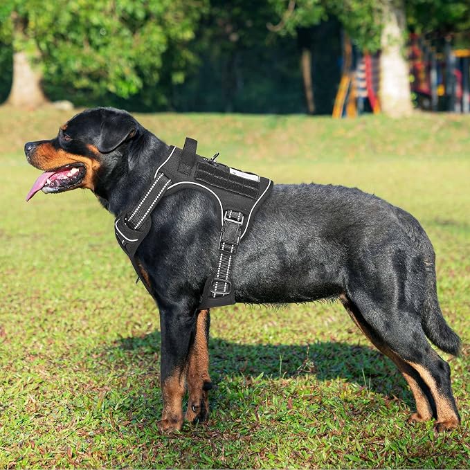 Heavy Duty Tactical Dog Harness - Image 2