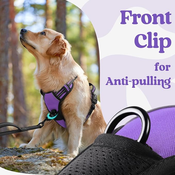rabbitgoo Dog Harness Small Sized, No Pull Pet Harness - Image 7