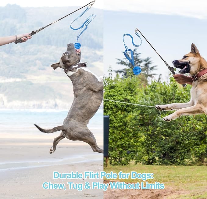 Flirt Pole for Dogs, Durable Dog Flirt Pole for Large Medium & Small Dogs - Image 5