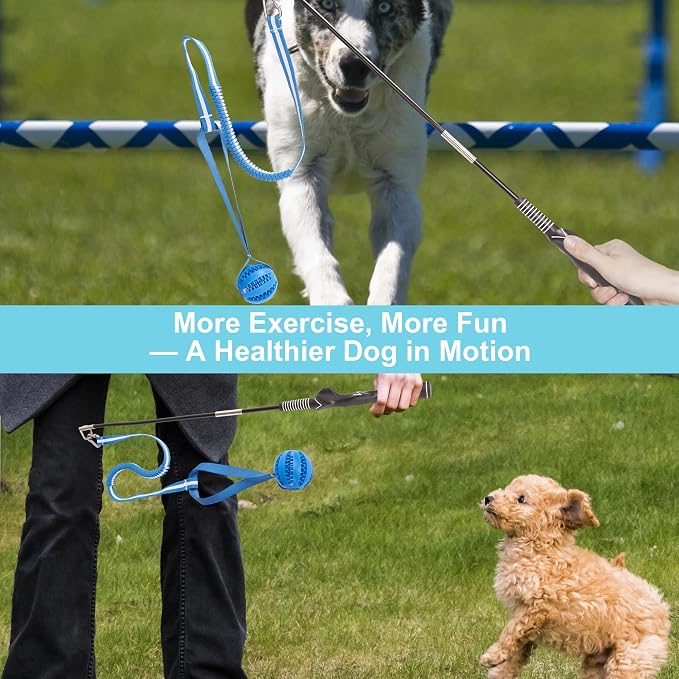 Flirt Pole for Dogs, Durable Dog Flirt Pole for Large Medium & Small Dogs - Image 4