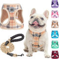 BEAUTYZOO Small Dog Harness and Leash Set, Step in No Choke No Pull Soft Mesh by BEAUTYZOO