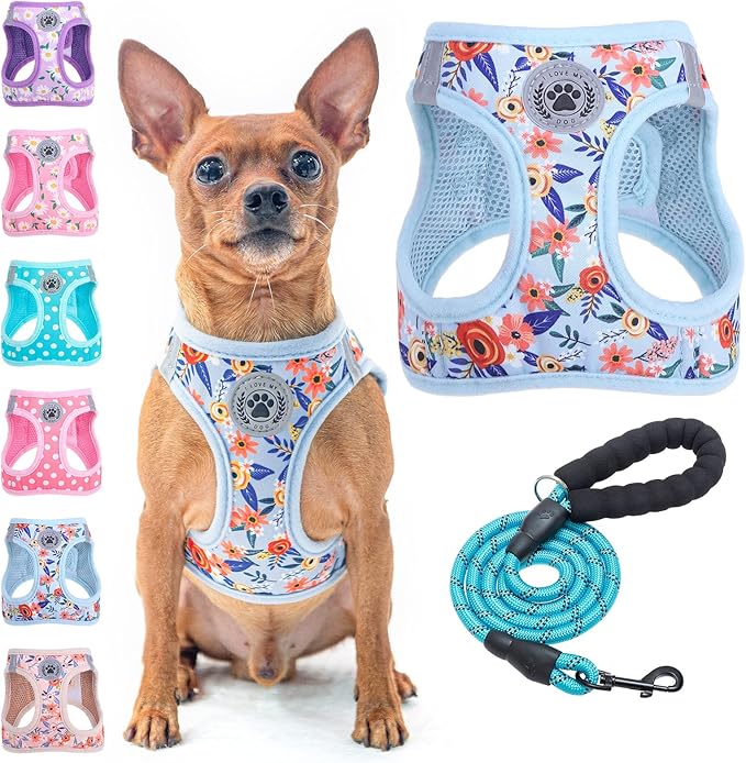 BEAUTYZOO Step in Dog Harness and Leash Set, Floral Pattern Reflective Dog by BEAUTYZOO