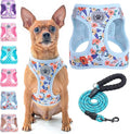 BEAUTYZOO Step in Dog Harness and Leash Set, Floral Pattern Reflective Dog by BEAUTYZOO