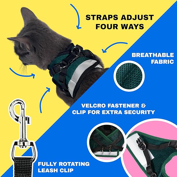 Travel Cat The Emerald Explorer Limited Edition Green Harness and Leash Set - Image 3