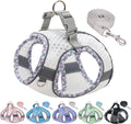 Soft Dog Harness and Leash Set for Walking, Summer Step in Vest Harness by PetSuppliesManufacturer