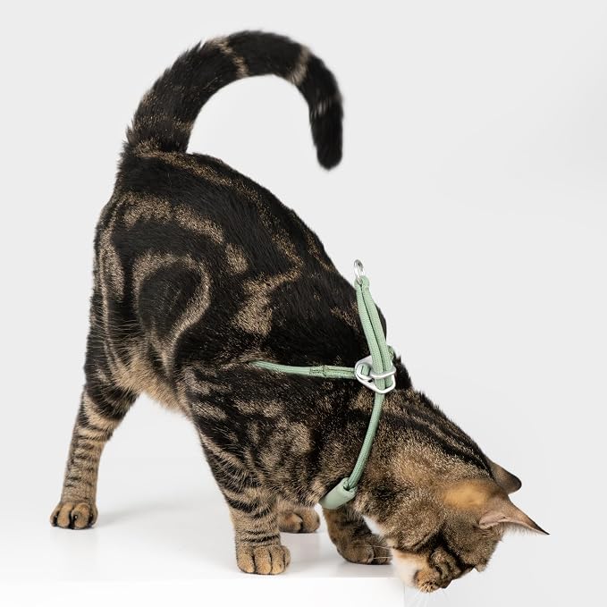 Escape Proof Y Shape Cat Harness Anti-Choke Buckle Adjustable Comfortable - Image 7