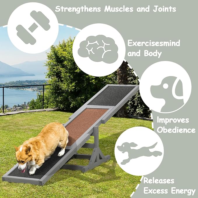 71" Wooden Dog Agility Seesaw for Training and Exercise - Image 3