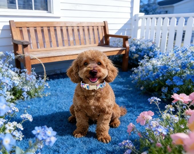 Lionet Paws Floral Dog Collar- Cute Spring Wildflowers Daisy Forget Me Not Dog - Image 3