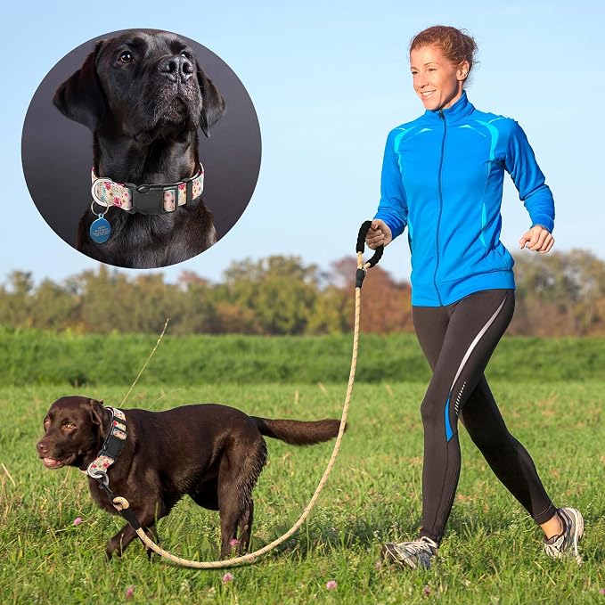 Reflective Dog Collar Padded - Image 5