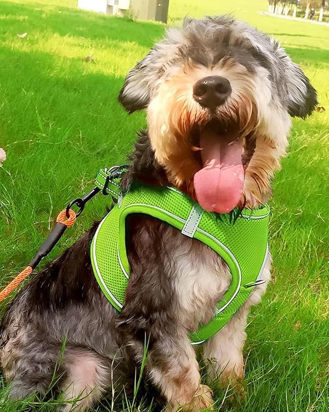 Joytale Small Dog Harness, Breathable Mesh Step-in Vest, Reflective Soft Padded - Image 2